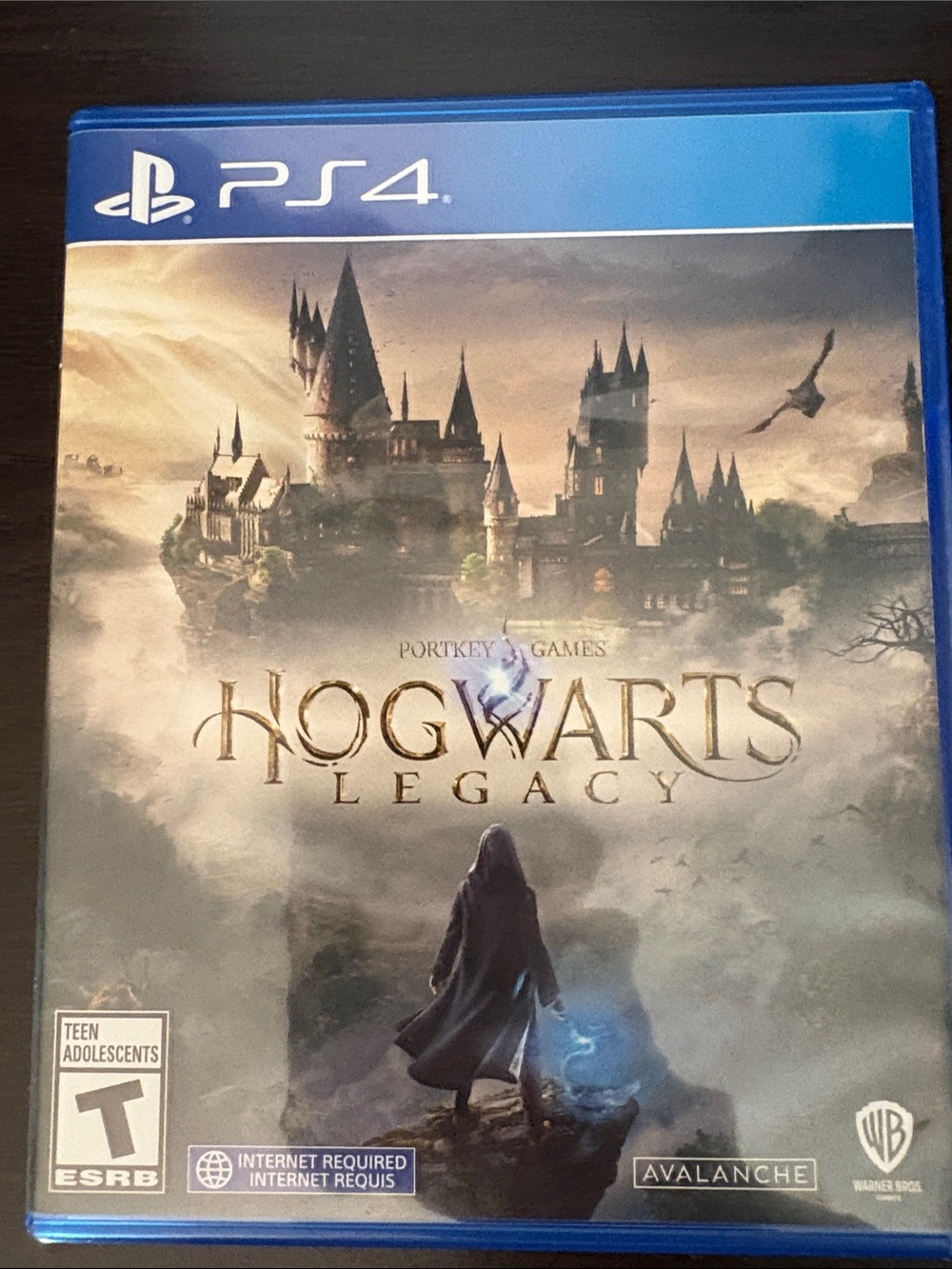 Hogwarts Legacy - Blue Case